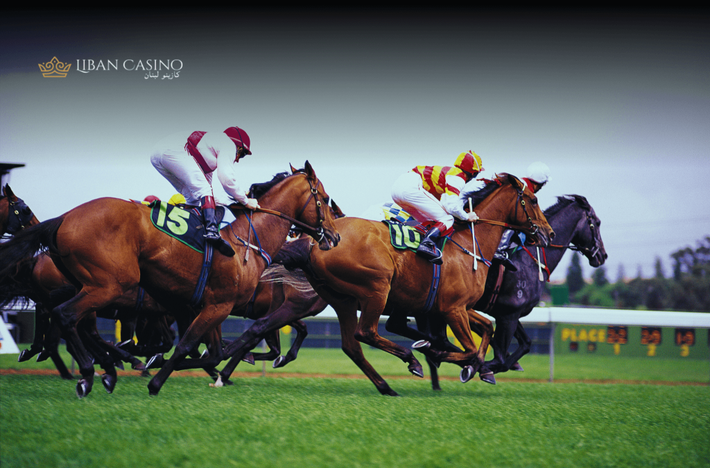 Several horses in a race.
