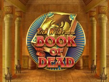 فتحات Book Of Dead